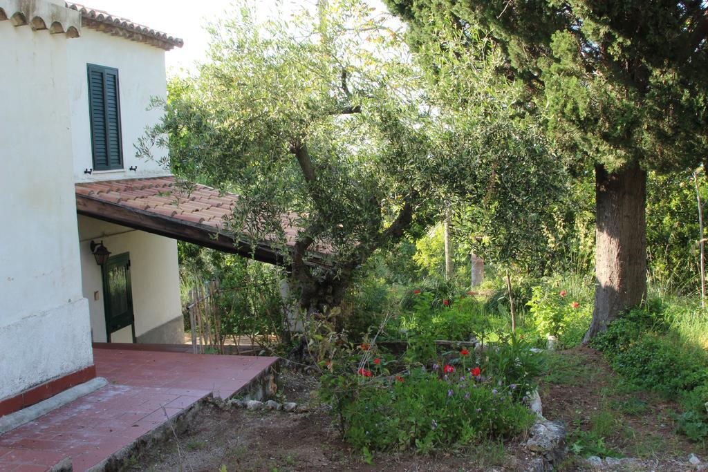 Tenuta Conte Ruggero Санта-Доменика Номер фото